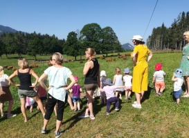 Screenshot_20190701-093701_WhatsApp