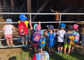 Screenshot_20190701-093744_WhatsApp