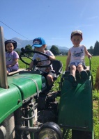 Screenshot_20190701-093818_WhatsApp