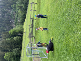 IMG_5259
